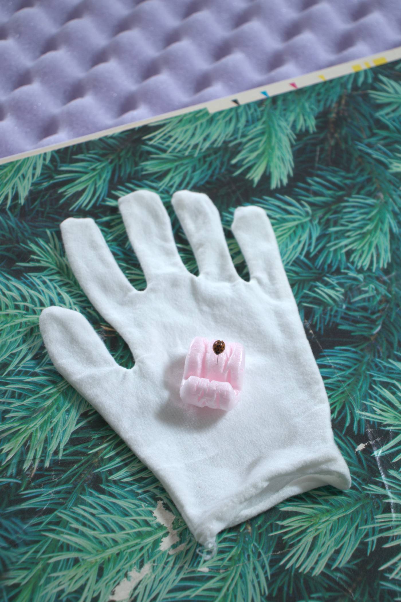 Photo of white glove on a colorful background with a ladybug on a packing peanut