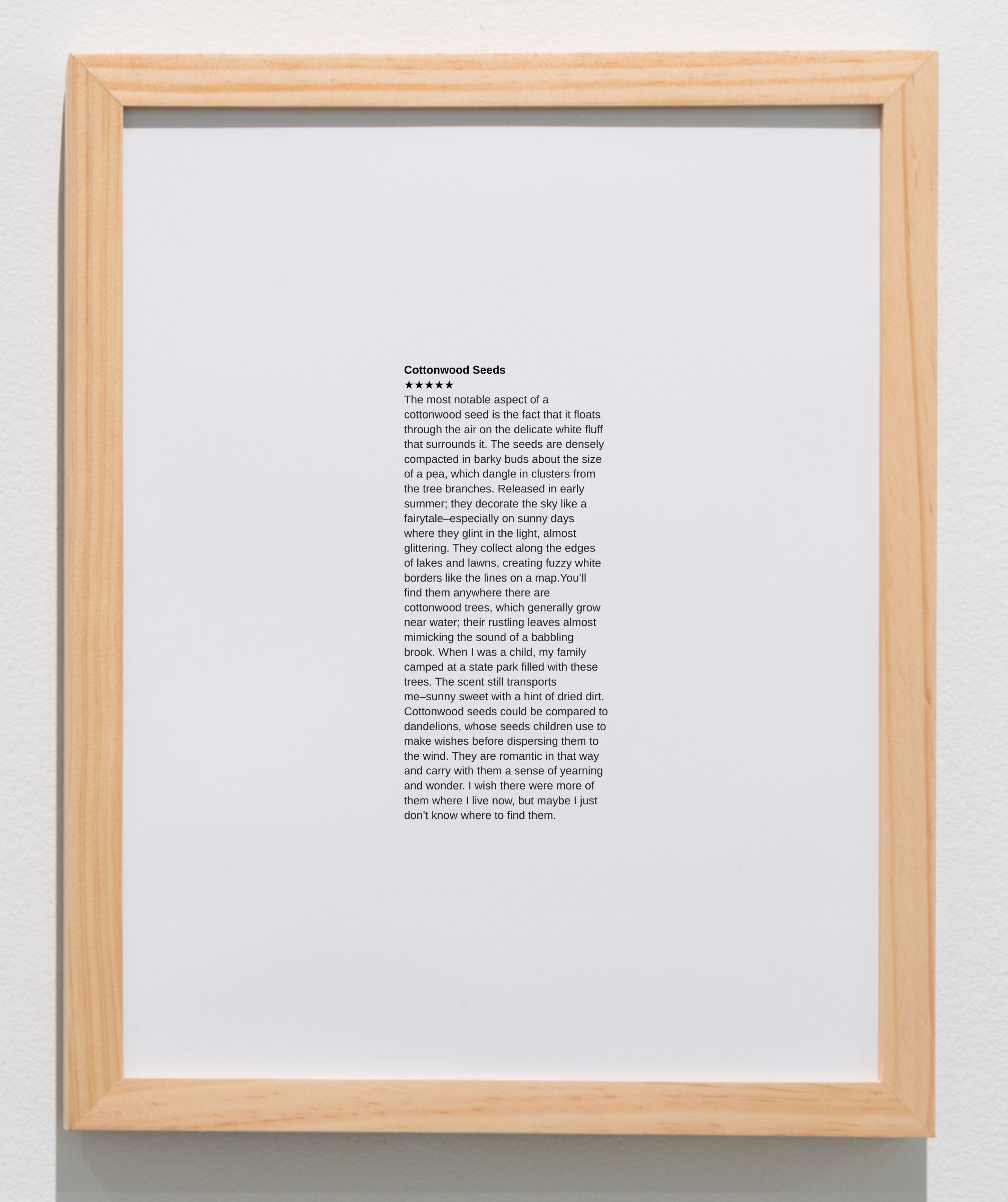 Written 5-star review of cottonwood seeds