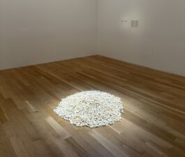 Pile of white candy lying in a mound in the middle of a white-wall gallery space